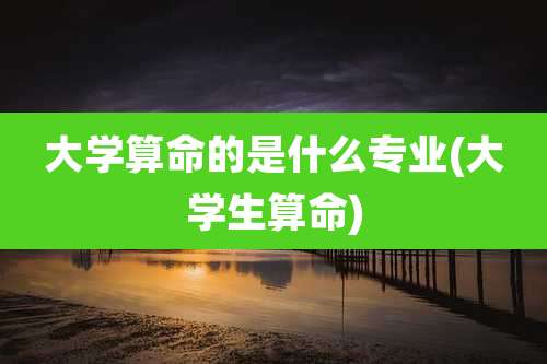 大学算命的是什么专业(大学生算命)