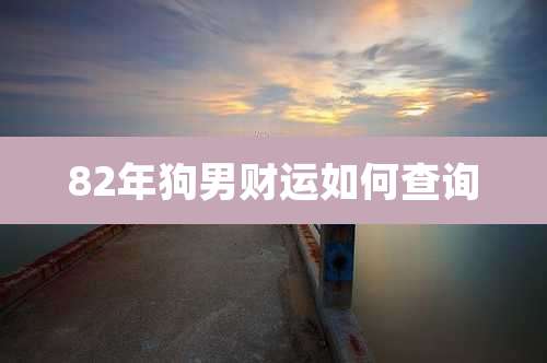 82年狗男财运如何查询