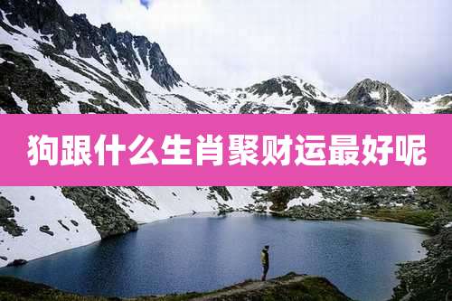 狗跟什么生肖聚财运最好呢