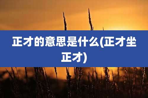 正才的意思是什么(正才坐正才)