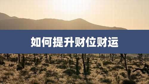 如何提升财位财运