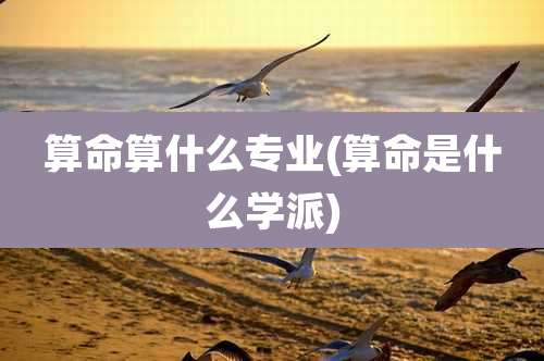 算命算什么专业(算命是什么学派)