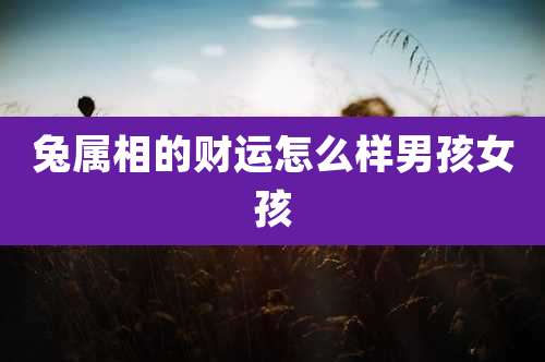 兔属相的财运怎么样男孩女孩