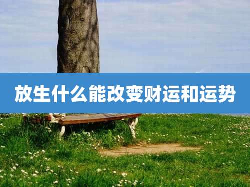 放生什么能改变财运和运势