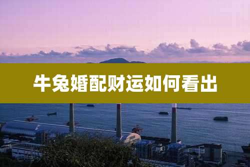 牛兔婚配财运如何看出