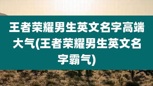 王者荣耀男生英文名字高端大气(王者荣耀男生英文名字霸气)