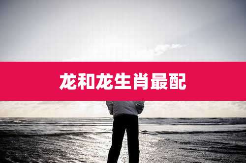 龙和龙生肖最配