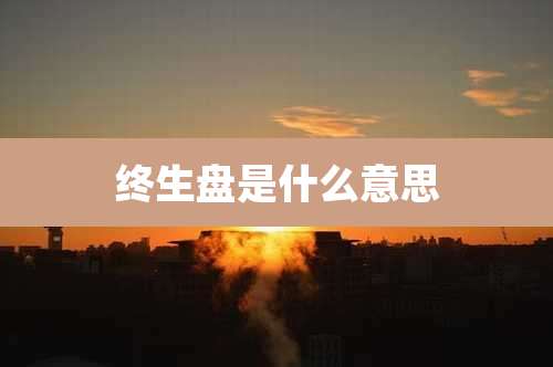 终生盘是什么意思