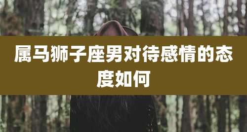 属马狮子座男对待感情的态度如何