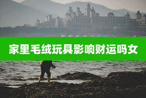 家里毛绒玩具影响财运吗女