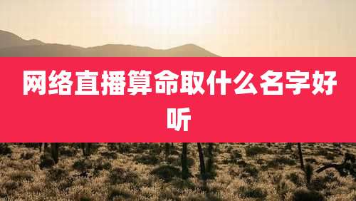 网络直播算命取什么名字好听