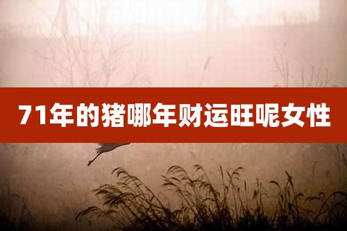 71年的猪哪年财运旺呢女性
