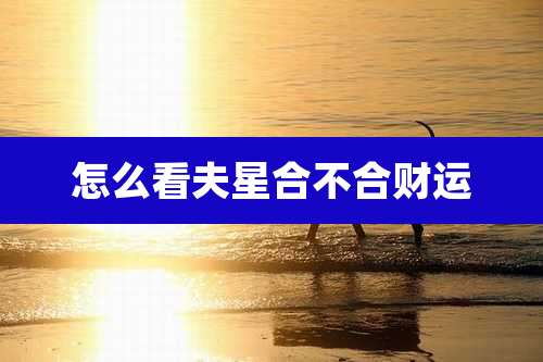怎么看夫星合不合财运