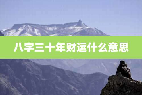 八字三十年财运什么意思