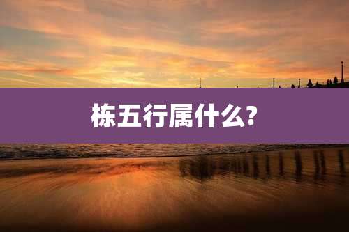 栋五行属什么?