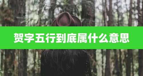 贺字五行到底属什么意思