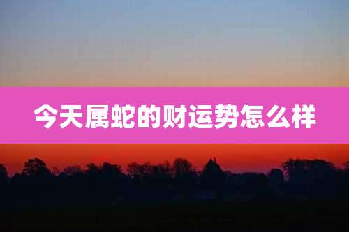 今天属蛇的财运势怎么样