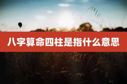 八字算命四柱是指什么意思