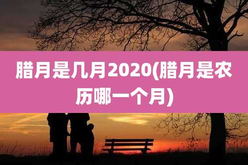 腊月是几月2020(腊月是农历哪一个月)