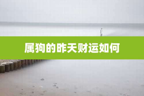 属狗的昨天财运如何