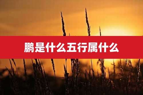 鹏是什么五行属什么