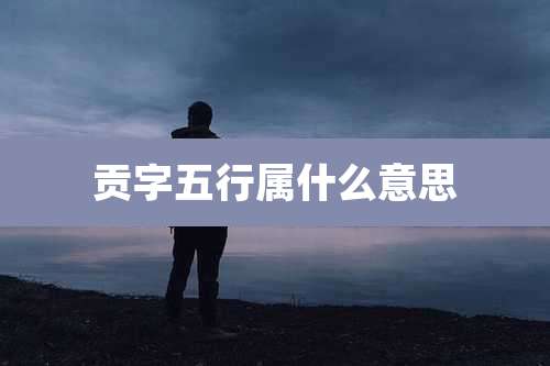 贡字五行属什么意思