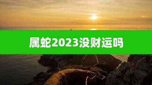 属蛇2023没财运吗