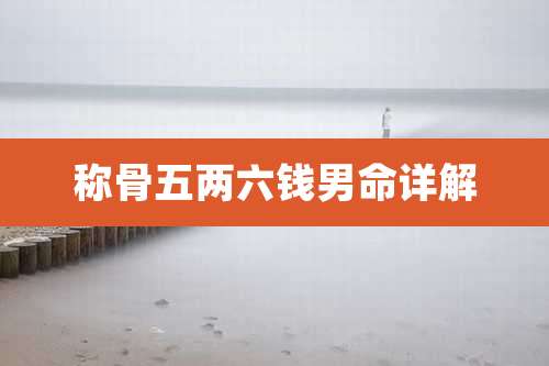 称骨五两六钱男命详解