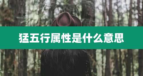 猛五行属性是什么意思