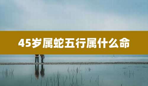45岁属蛇五行属什么命