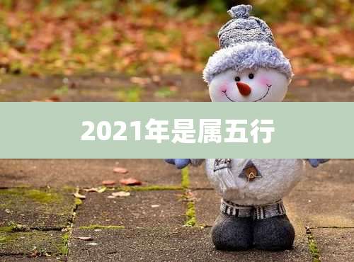 2021年是属五行