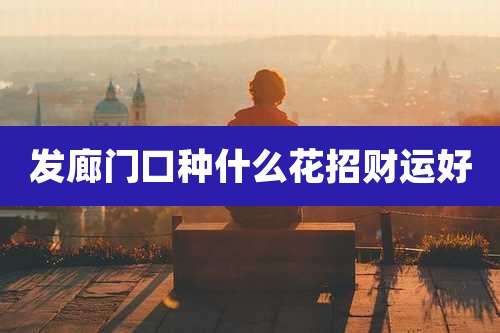 发廊门口种什么花招财运好