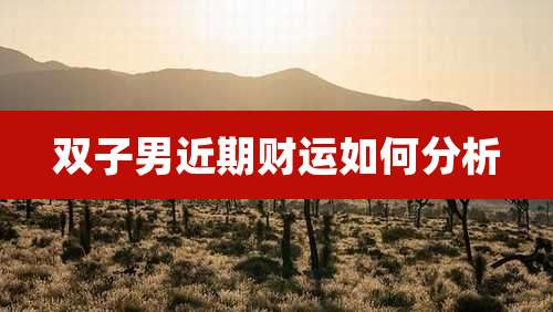 双子男近期财运如何分析