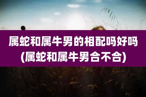 属蛇和属牛男的相配吗好吗(属蛇和属牛男合不合)