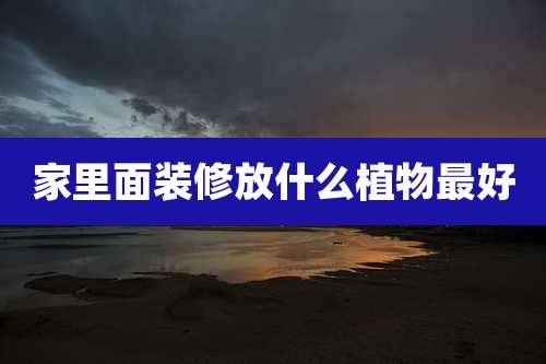 家里面装修放什么植物最好