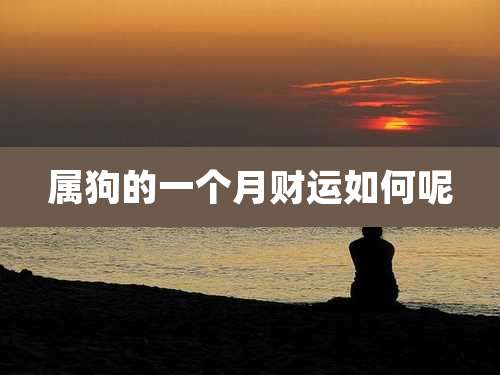属狗的一个月财运如何呢