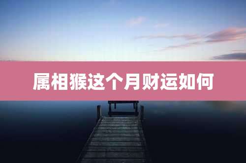 属相猴这个月财运如何