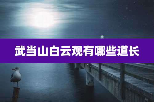 武当山白云观有哪些道长