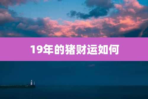 19年的猪财运如何