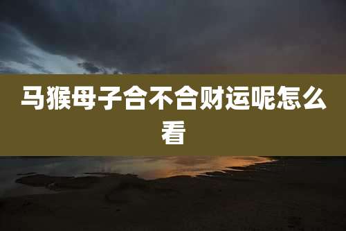 马猴母子合不合财运呢怎么看