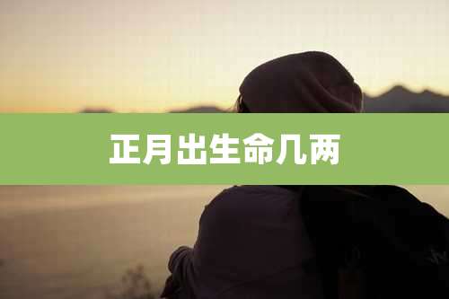 正月出生命几两