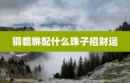 铜貔貅配什么珠子招财运