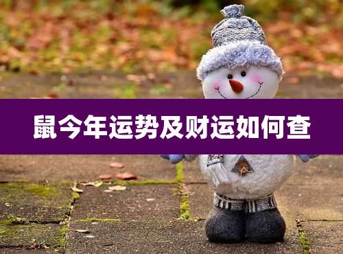 鼠今年运势及财运如何查
