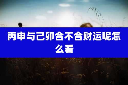 丙申与己卯合不合财运呢怎么看