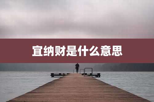 宜纳财是什么意思