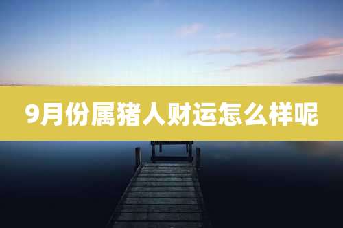 9月份属猪人财运怎么样呢
