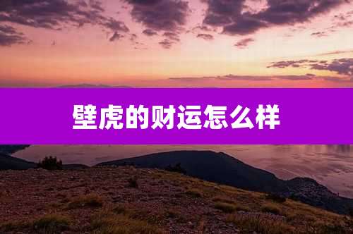 壁虎的财运怎么样