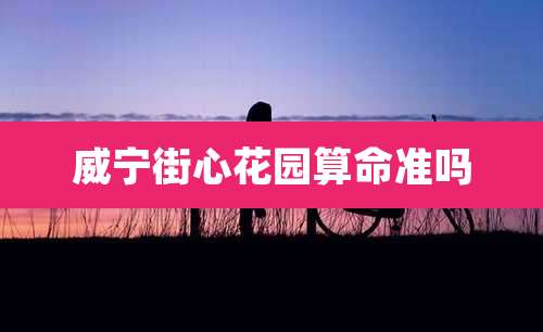 威宁街心花园算命准吗