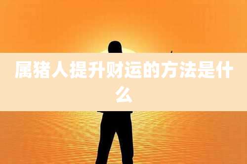 属猪人提升财运的方法是什么