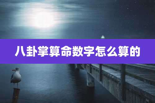 八卦掌算命数字怎么算的